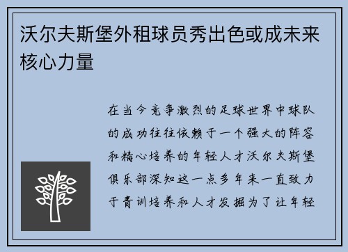 沃尔夫斯堡外租球员秀出色或成未来核心力量