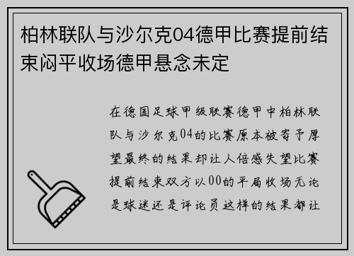 柏林联队与沙尔克04德甲比赛提前结束闷平收场德甲悬念未定