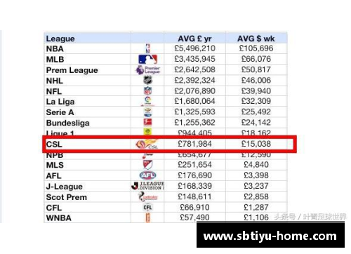 sb体育官网NBA球员最低年薪与职业体育联赛薪资体系的深度探讨 - 副本